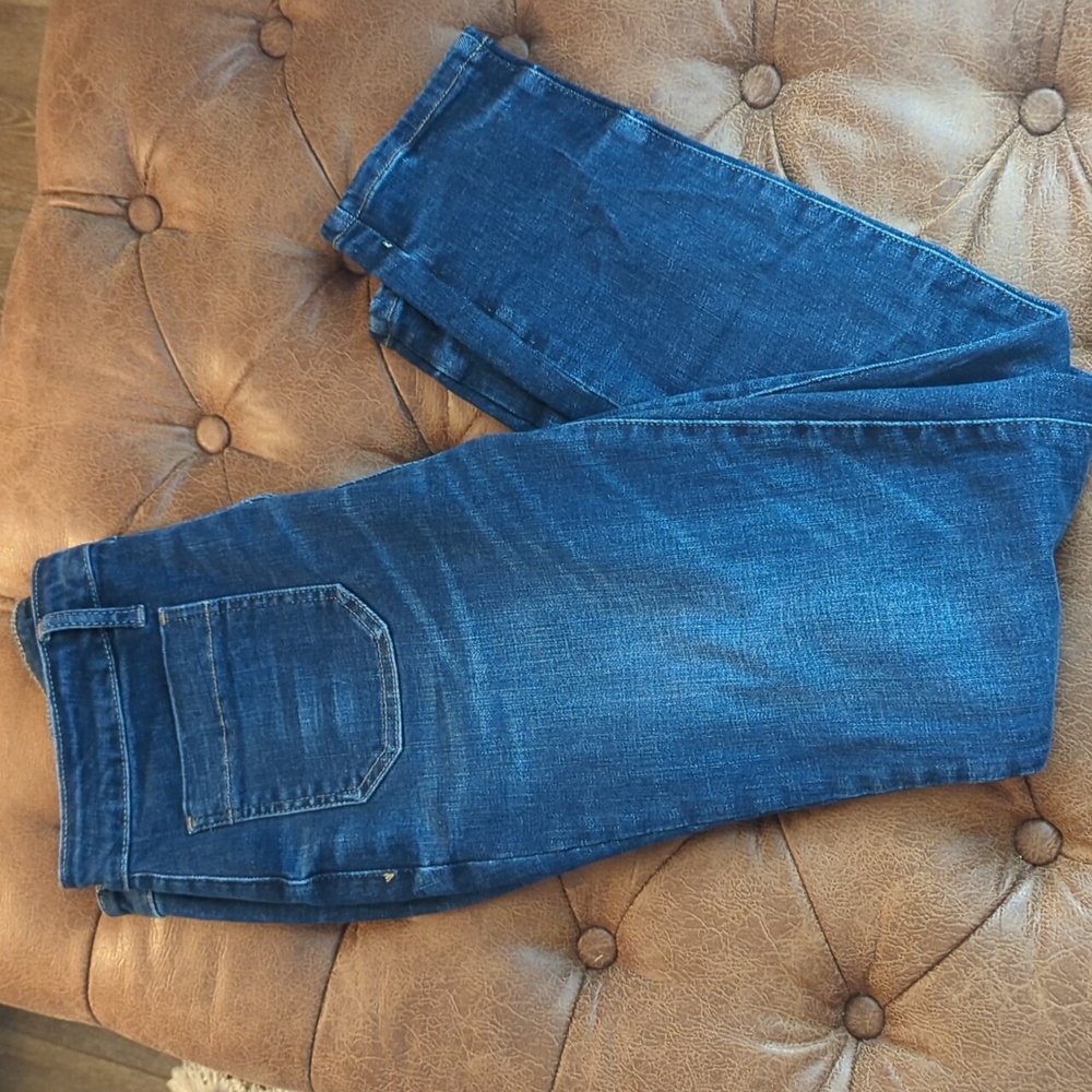 Judy Blue Button Fly Skinny Jean
